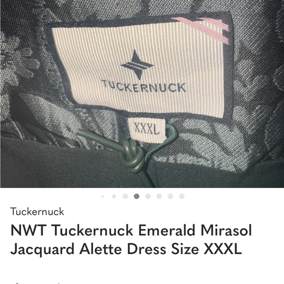NWT Tuckernuck Emerald Mirasol Jacquard Alette Dress Size XXXL - Picture 3 of 6